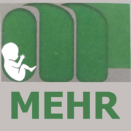 لوگو